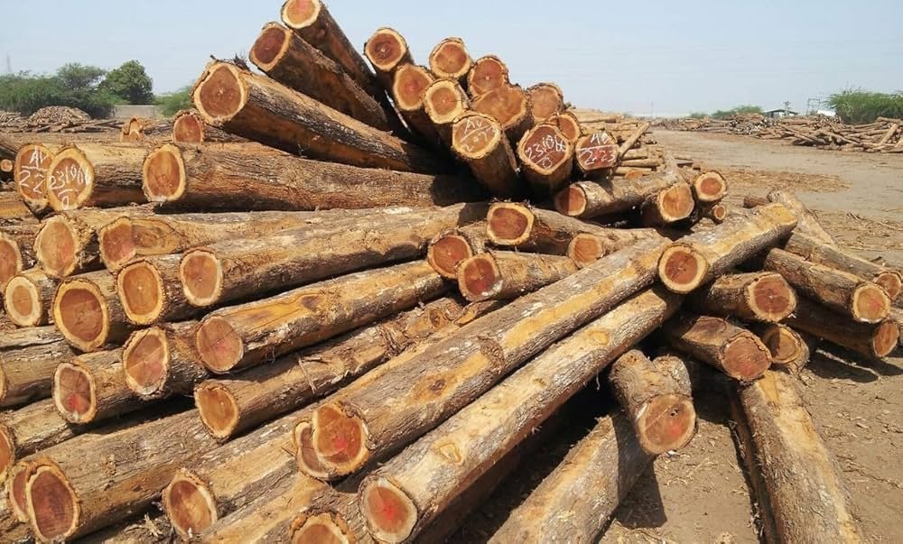 Timber & Wood